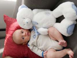 louis